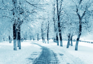 snowy concrete driveway in winter
