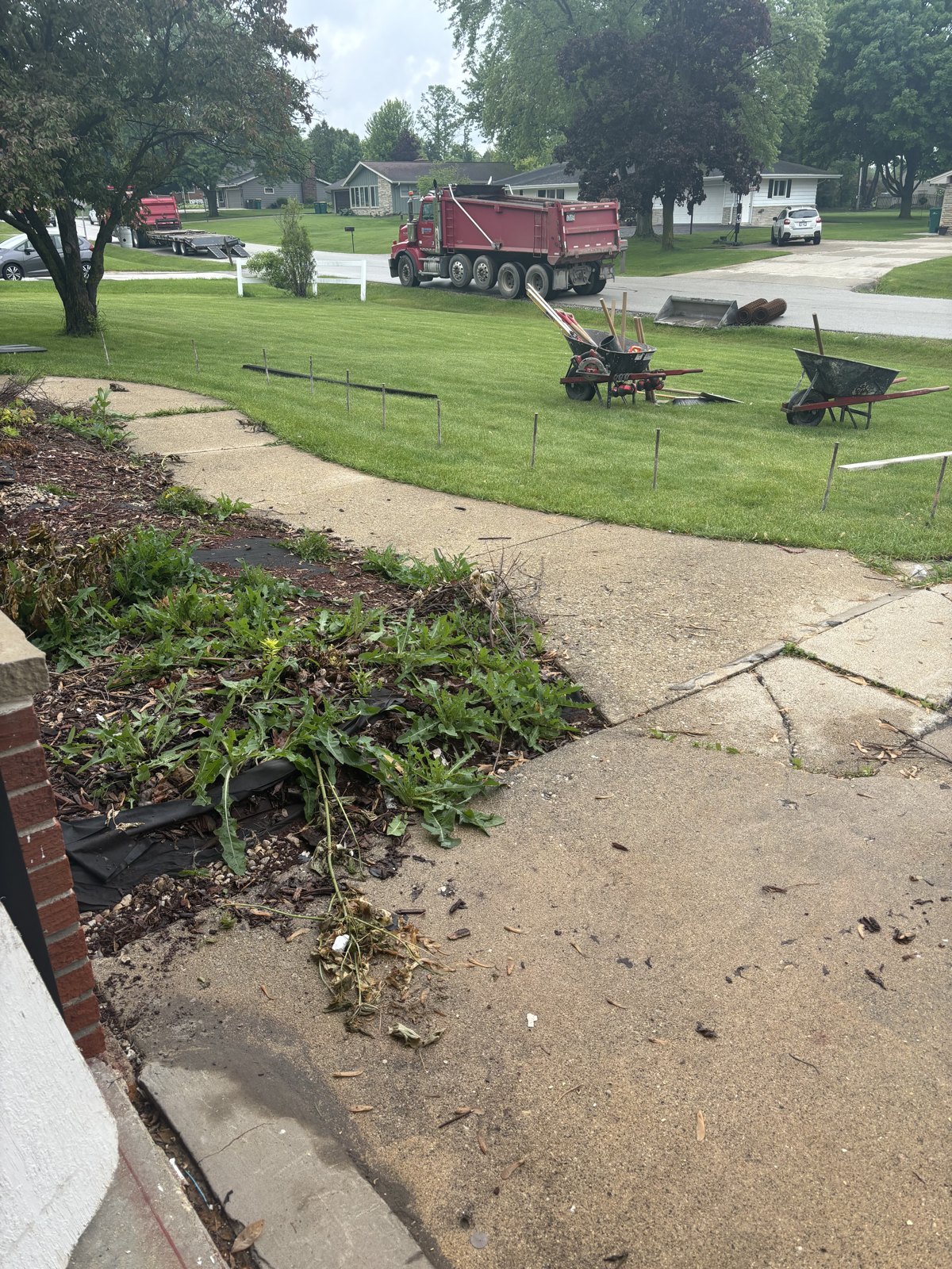 Before: the original front walkway, photographed by the homeowner.